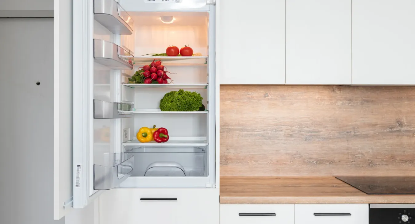 Fridge Freezer Repairs in Belfast