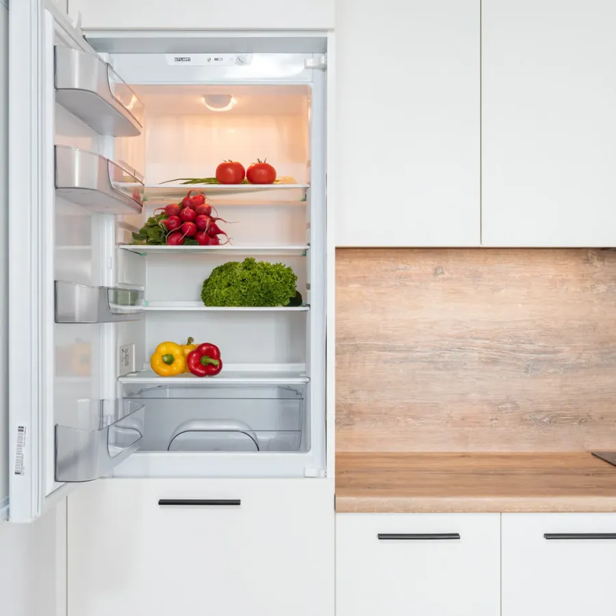 Fridge Freezer Repairs in Belfast